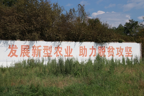 副本7.jpg