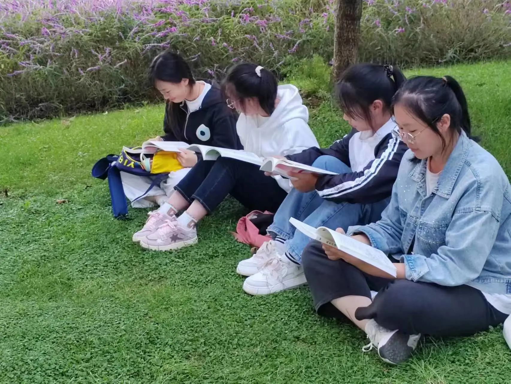 ca33640933373dc3dfd47518844f340b.jpg ca33640933373dc3dfd47518844f340b.jpg