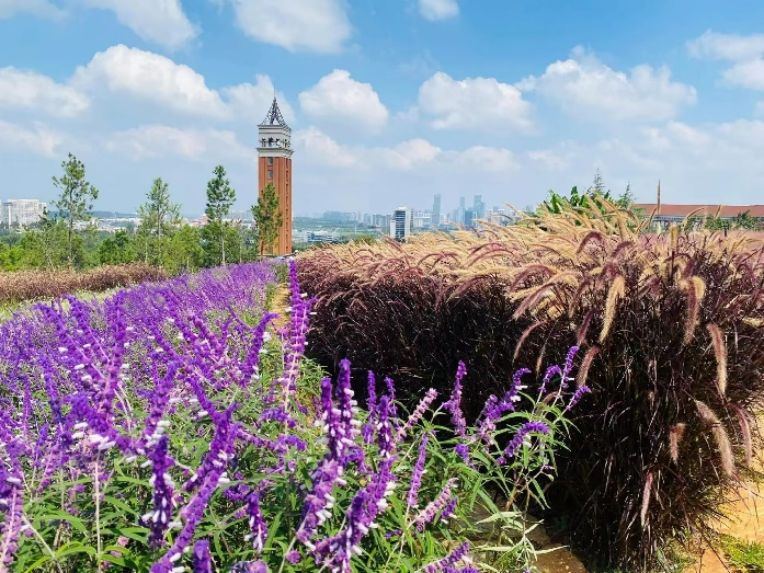 afc59421ed935e30b27da8967f1aecad.png afc59421ed935e30b27da8967f1aecad.png