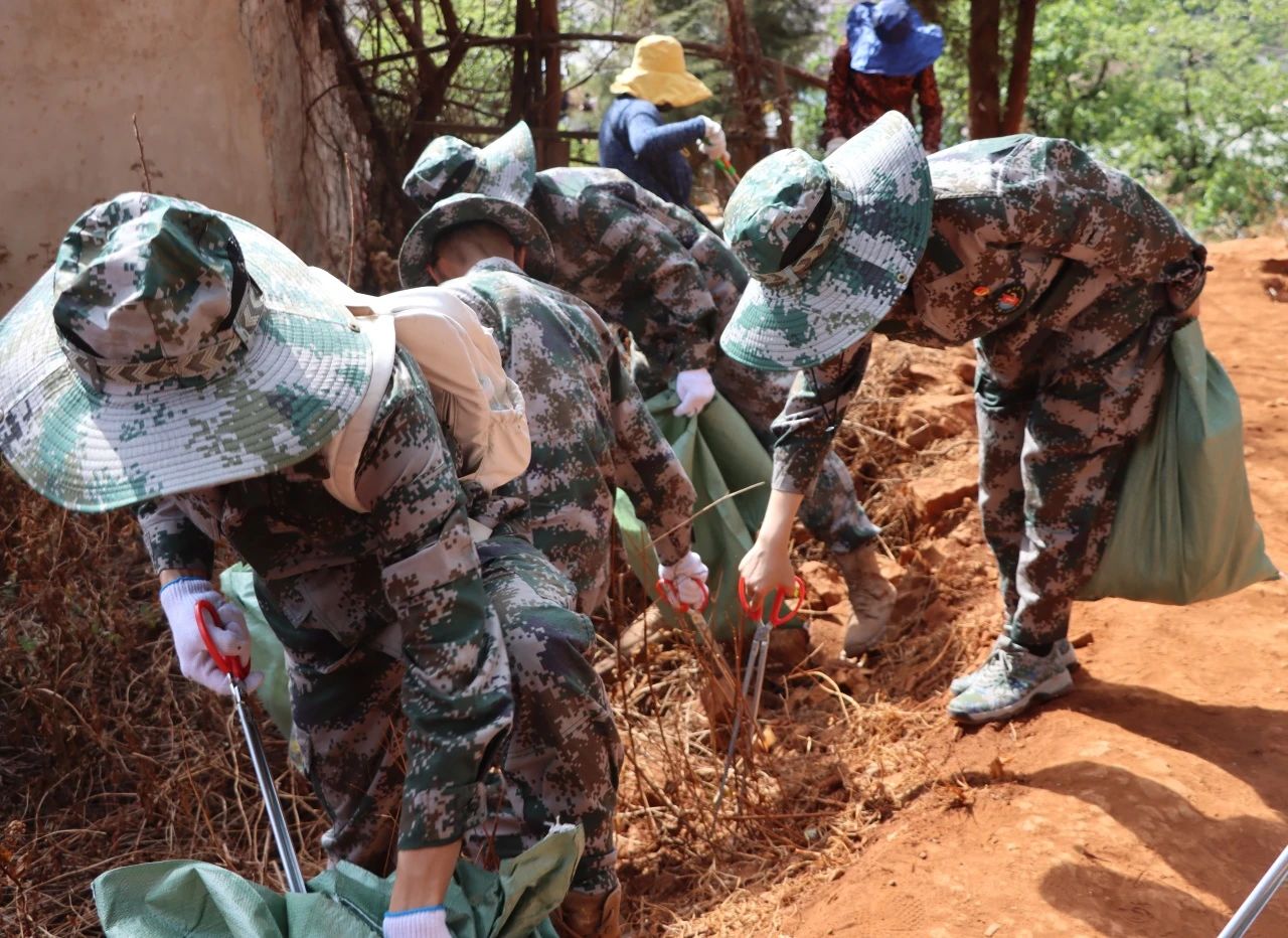 垃圾不落地 山林更美丽——黑林铺街道与云南经济管理学院开展护林环保行动 第 6 张 垃圾不落地 山林更美丽——黑林铺街道与云南经济管理学院开展护林环保行动 第 6 张
