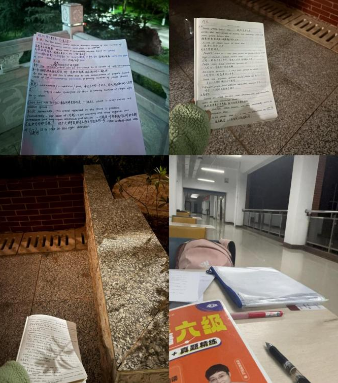 510b53b52e75df23a7af696919a6dd24.png 510b53b52e75df23a7af696919a6dd24.png