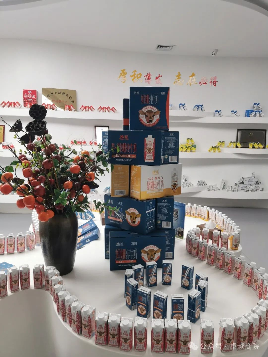 ​访企拓岗、校企合作商学院赴大理市开展访企拓岗活动 第 9 张